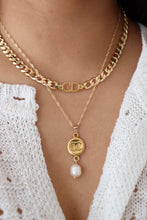Lade das Bild in den Galerie-Viewer, Dior choker -gold filled chain
